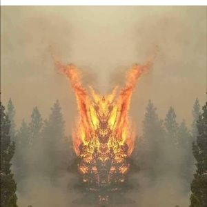 Meet your Posher, Rob